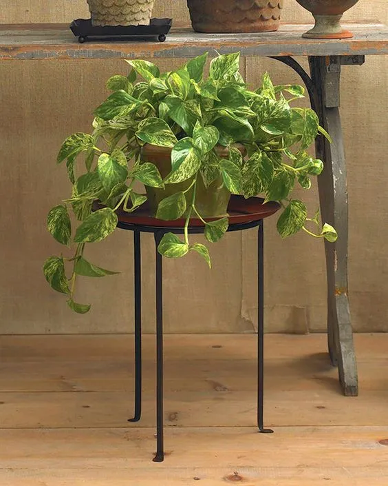 5edc70a3fd5575c109fedce9f24ec3b1.jpg?type=w1