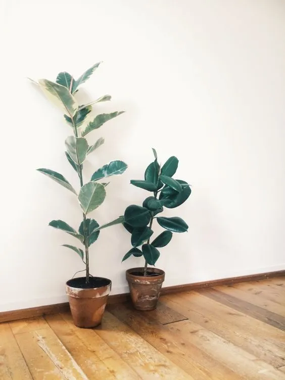 6790d7e2f8615493c61e210ab22d97fe.jpg?type=w1