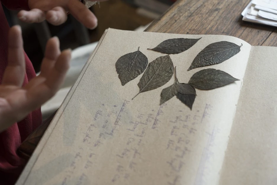 DSC06187.jpg?type=w1