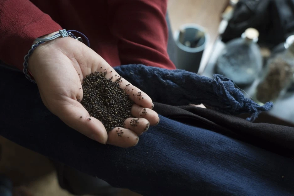 DSC06175.jpg?type=w1