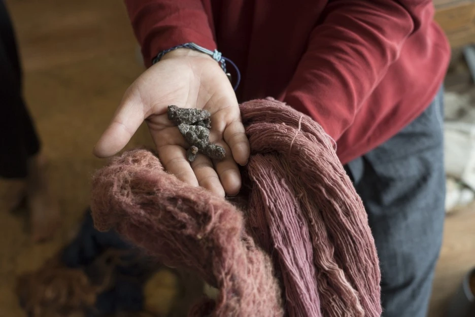 DSC06166.jpg?type=w1