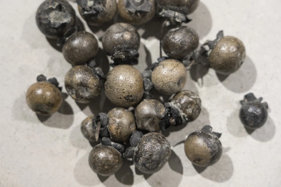 DSC06241.jpg?type=w1