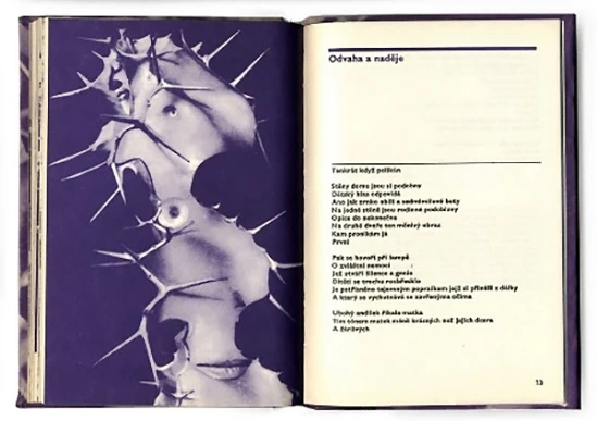 karel-teige-paul-eluard-karel-teige-la-rose-publique-vec599ejnc3a1-rc5afc5bee-3.jpg?w=549&h=387