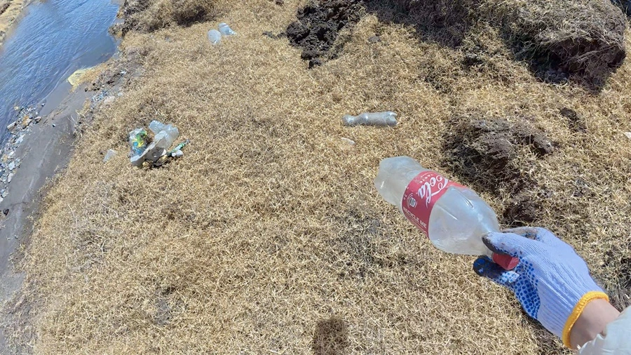 IMG_4206.jpg?type=w1