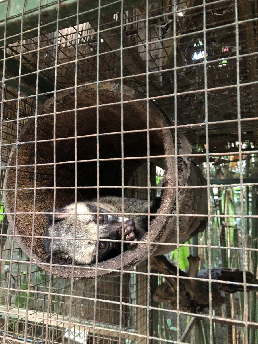 IMG_1224.jpg?type=w966