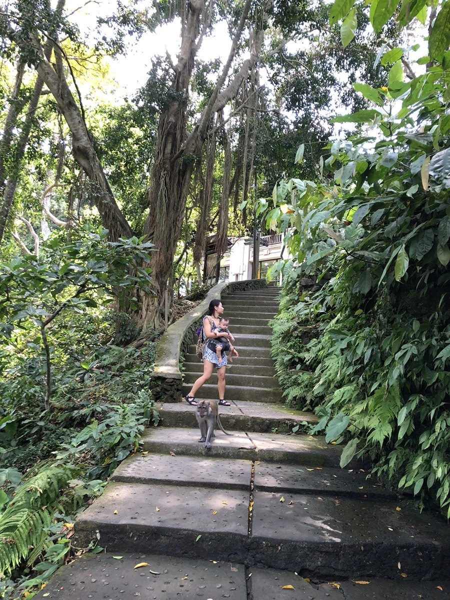 IMG_1326.jpg?type=w966