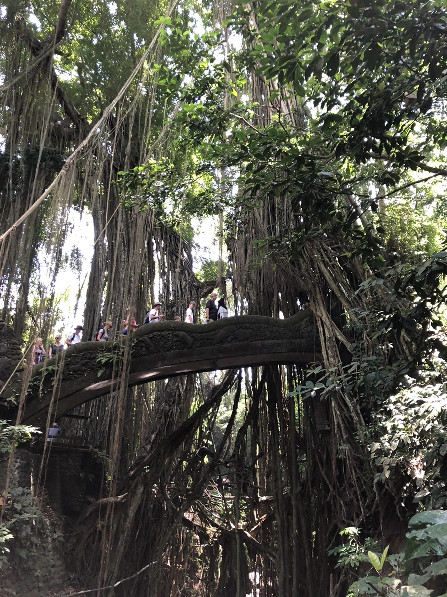 IMG_1337.jpg?type=w966