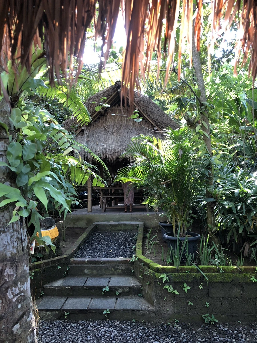 IMG_1232.jpg?type=w966