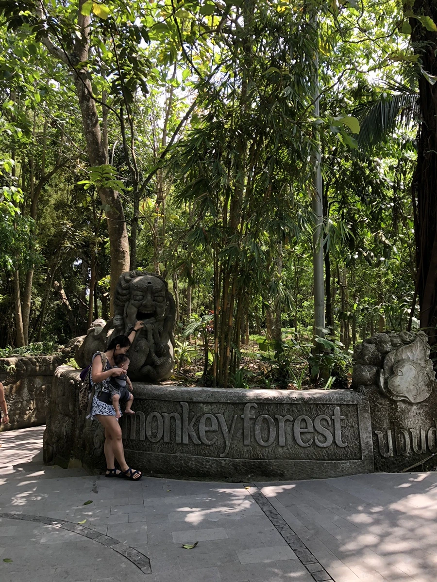 IMG_1295.jpg?type=w966