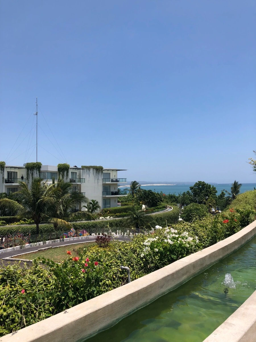 IMG_1141.jpg?type=w966