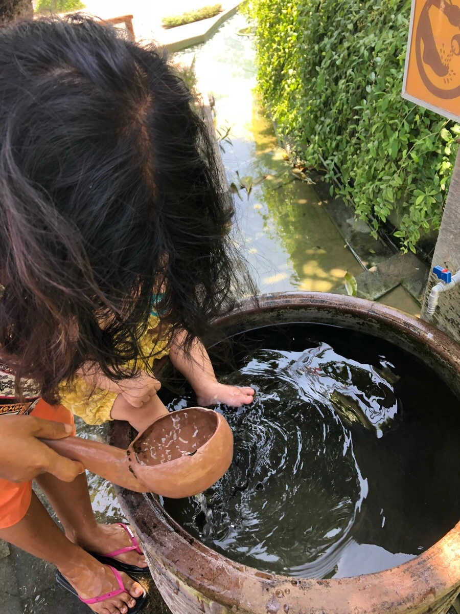 IMG_1153.jpg?type=w966