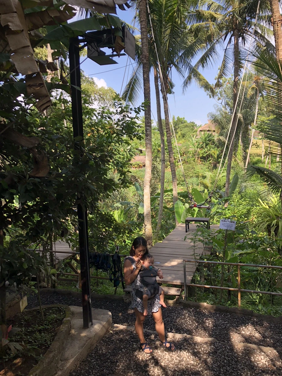 IMG_1238.jpg?type=w966