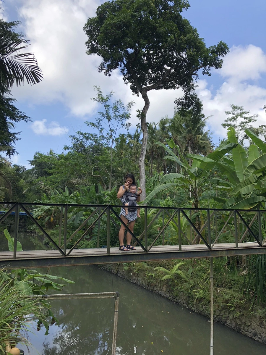 IMG_1277.jpg?type=w966