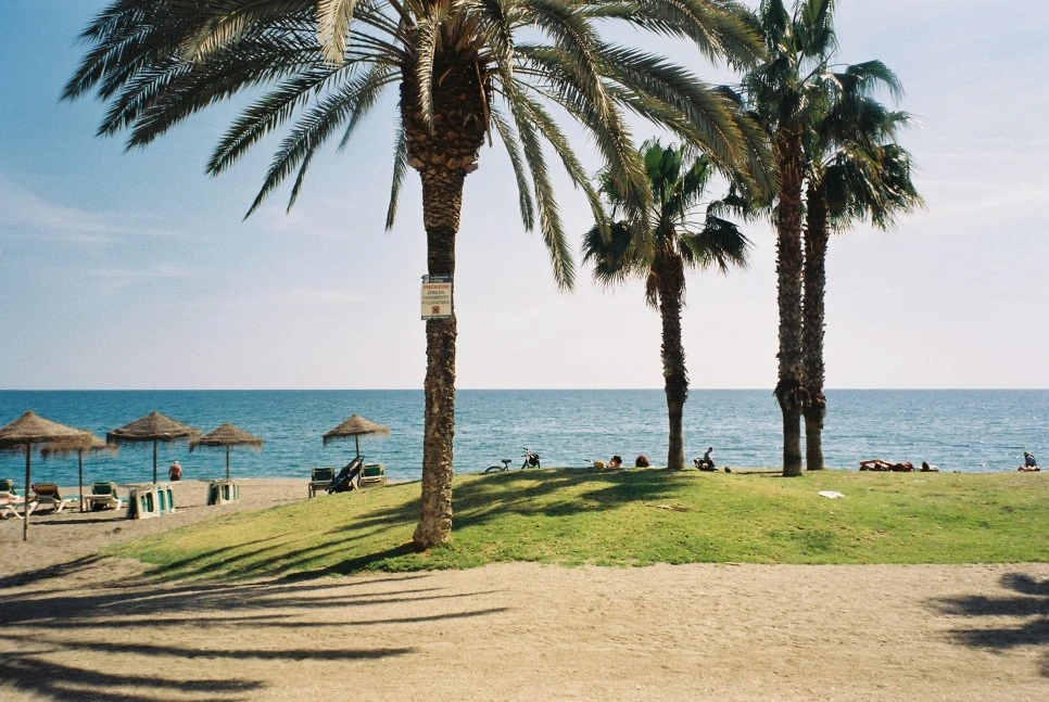 011_29972202552_o.jpg?type=w966