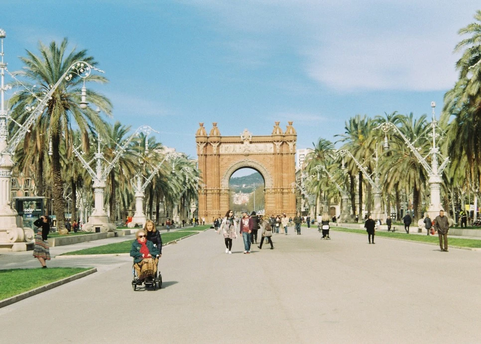 000022_29970542102_o.jpg?type=w966