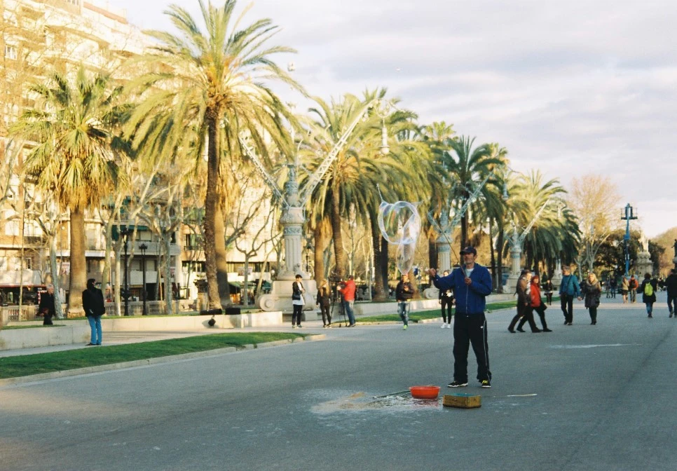 000011_30051149196_o.jpg?type=w966