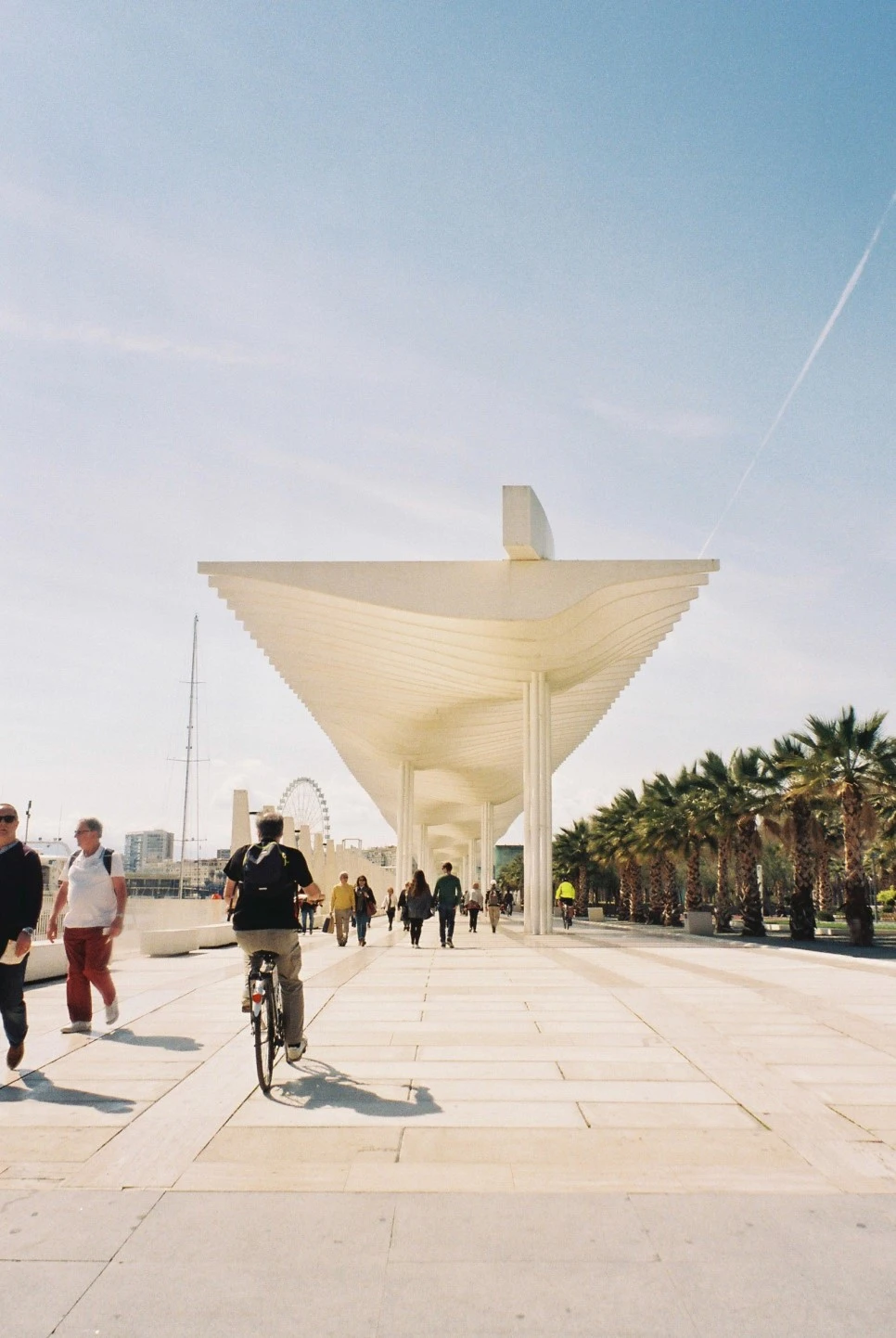 001_30086606575_o.jpg?type=w966