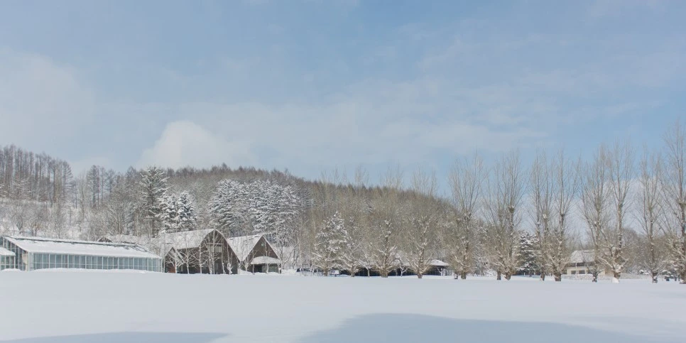 IMG_0646.JPG?type=w966