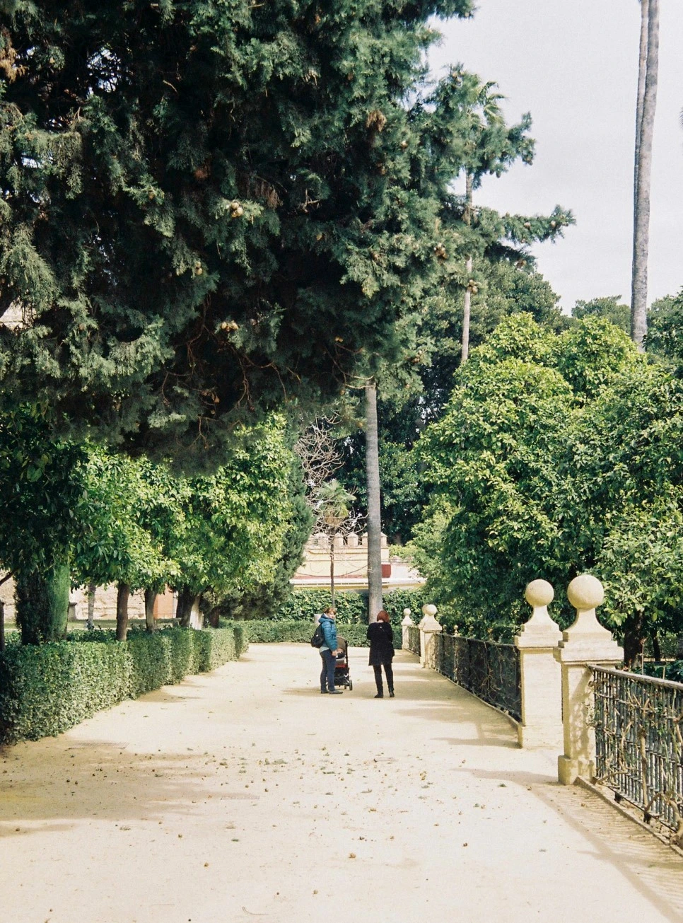 000010_30231447231_o.jpg?type=w966