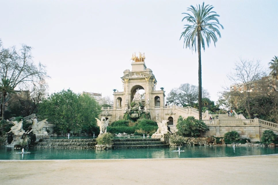 000010_30001957221_o.jpg?type=w966