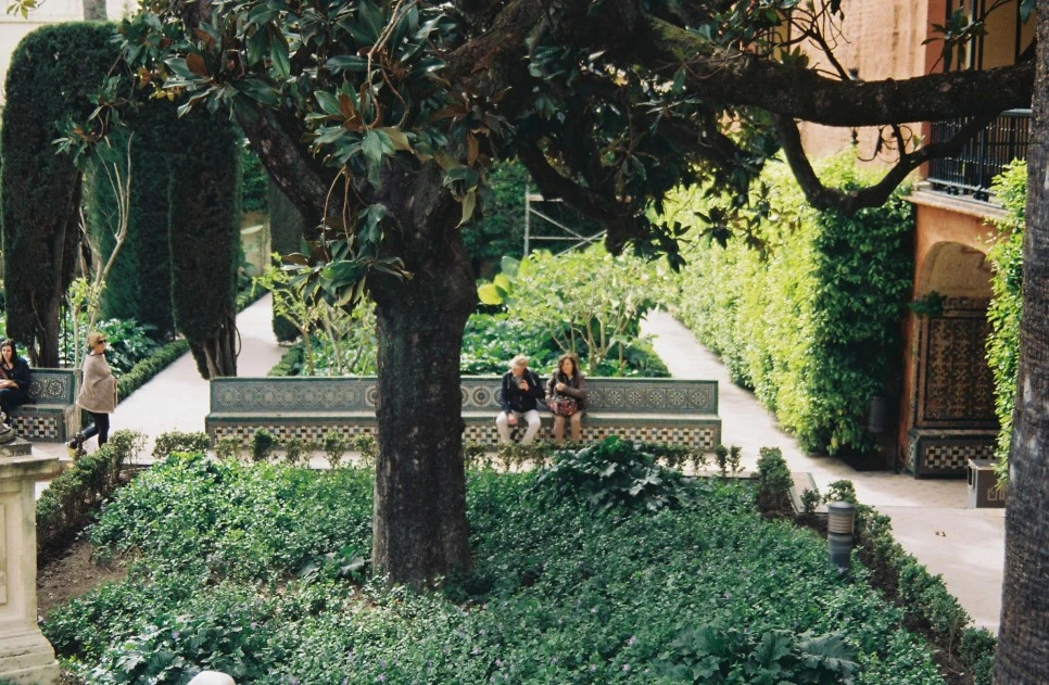 000014_30231443741_o.jpg?type=w966