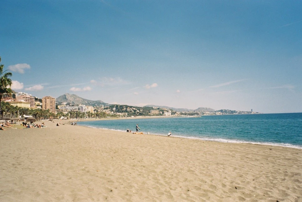 016_29458510744_o.jpg?type=w966