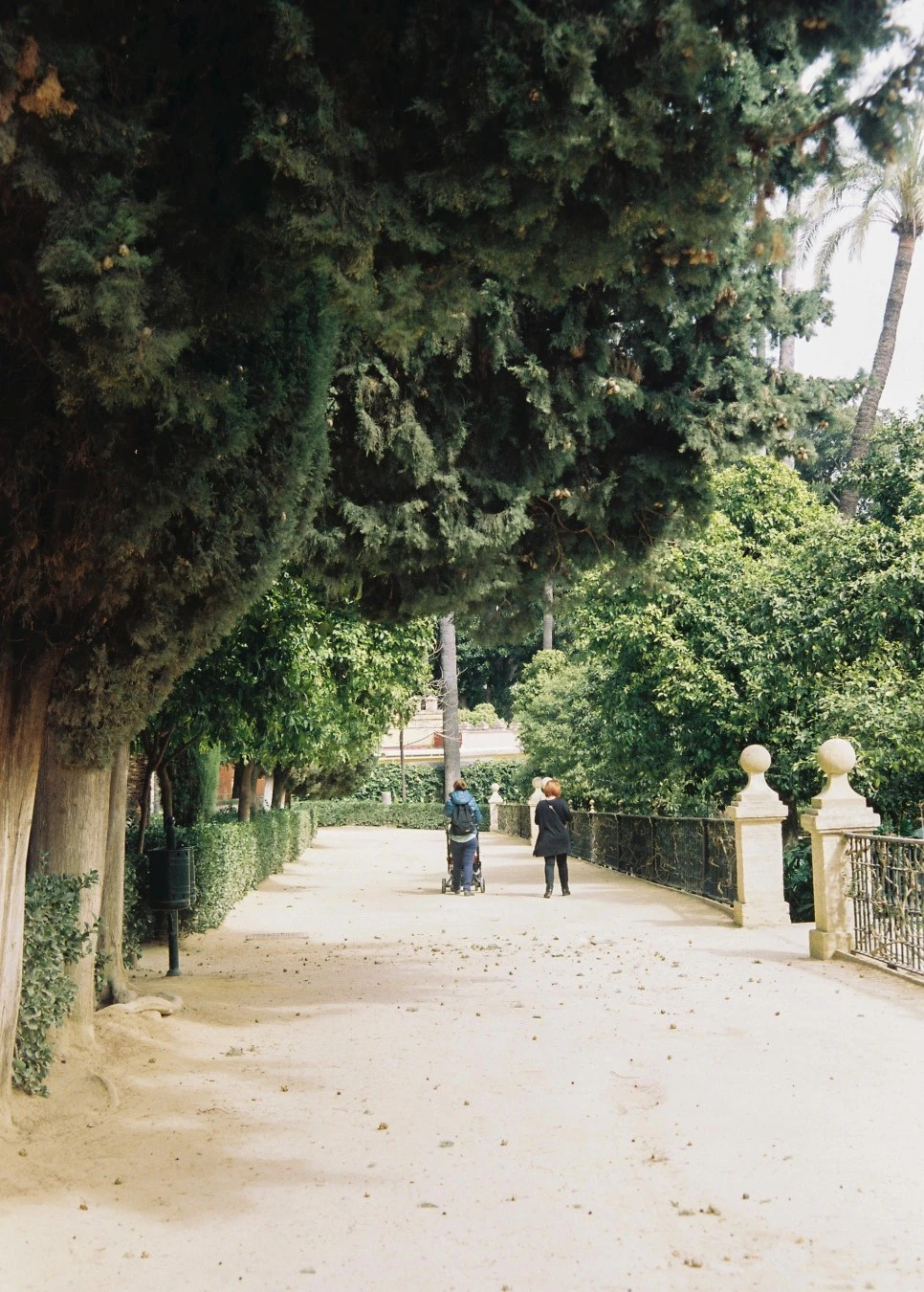 000011_30201245712_o.jpg?type=w966