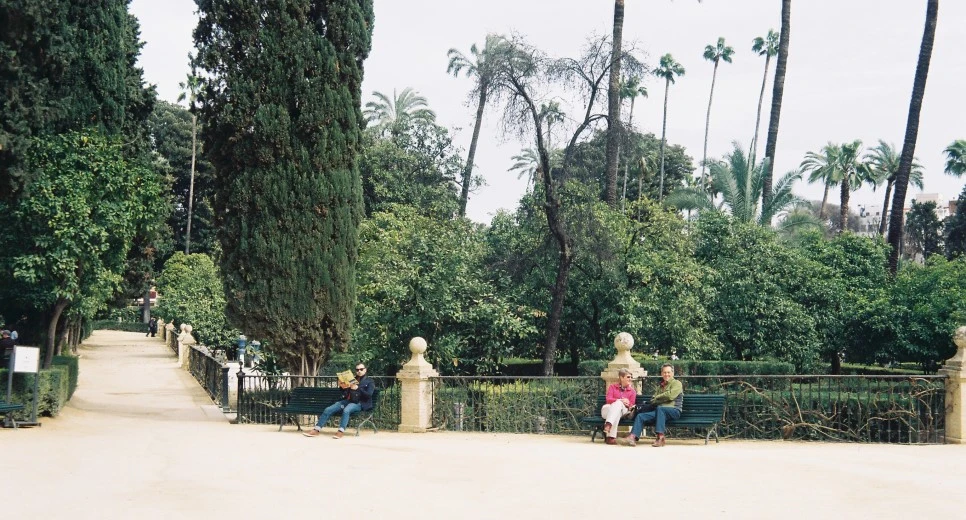 000013_30201243672_o.jpg?type=w966