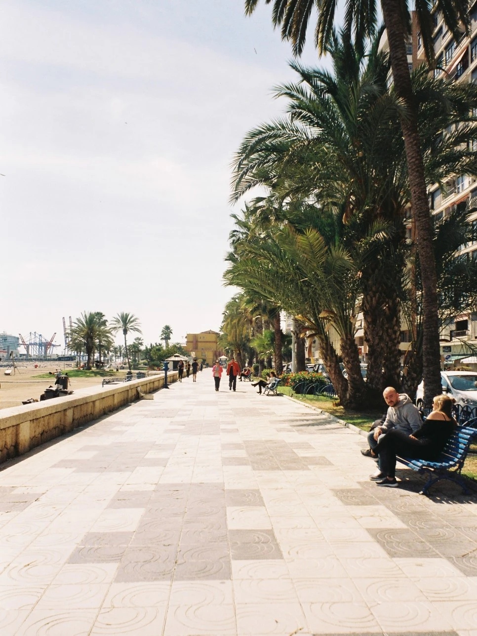 007_29791804410_o.jpg?type=w966