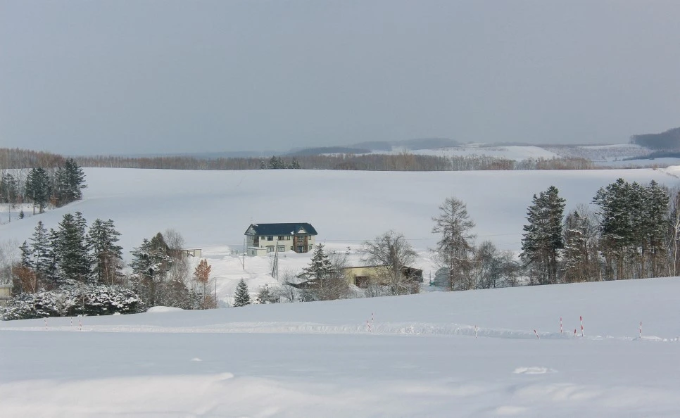 IMG_0755.JPG?type=w966