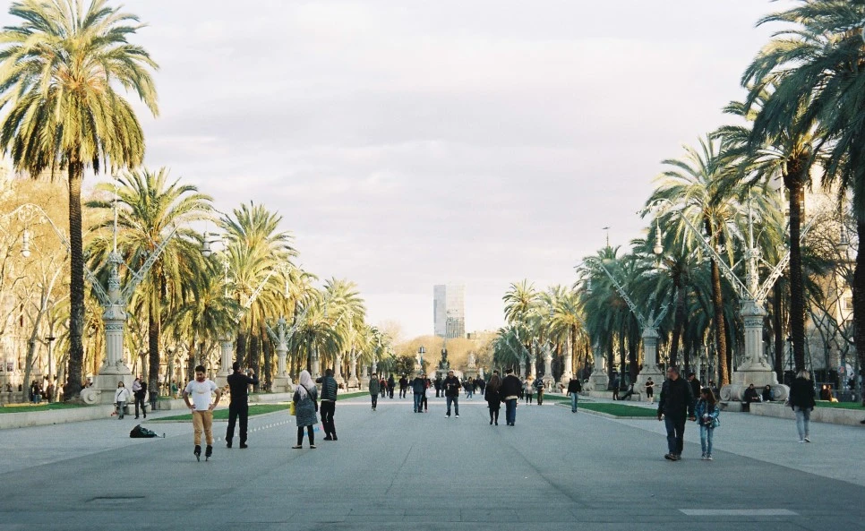 000012_29971054102_o.jpg?type=w966