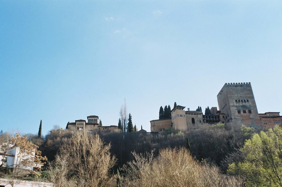 000023_30493424291_o.jpg?type=w966