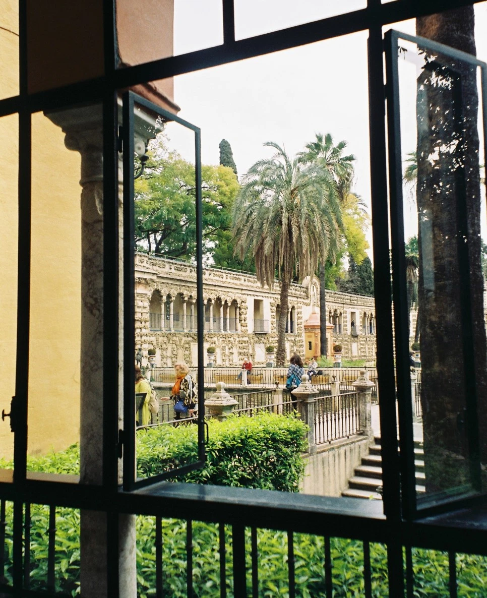 000020_30317243635_o.jpg?type=w966