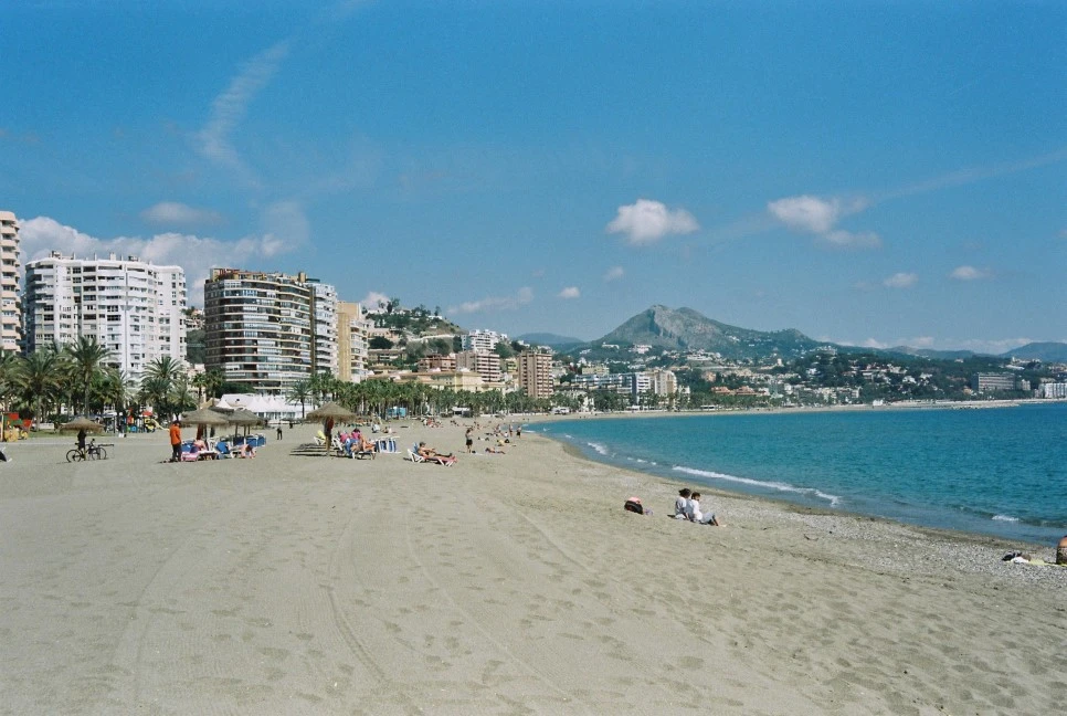 000011_29458552204_o.jpg?type=w966