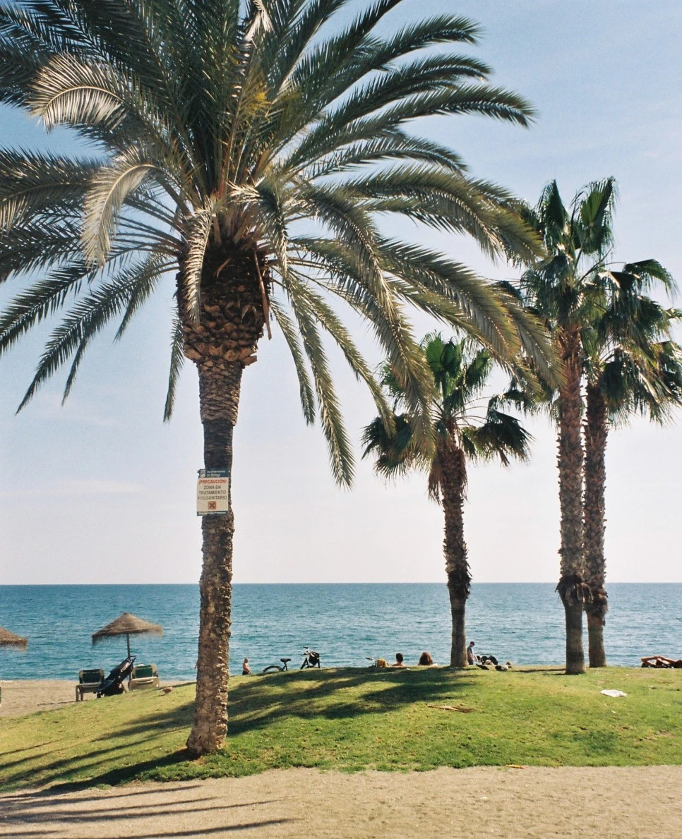 012_30052341846_o.jpg?type=w966