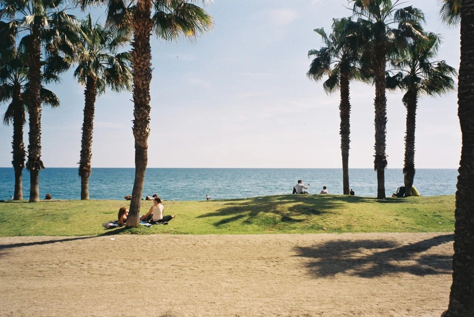 009_29458559844_o.jpg?type=w966