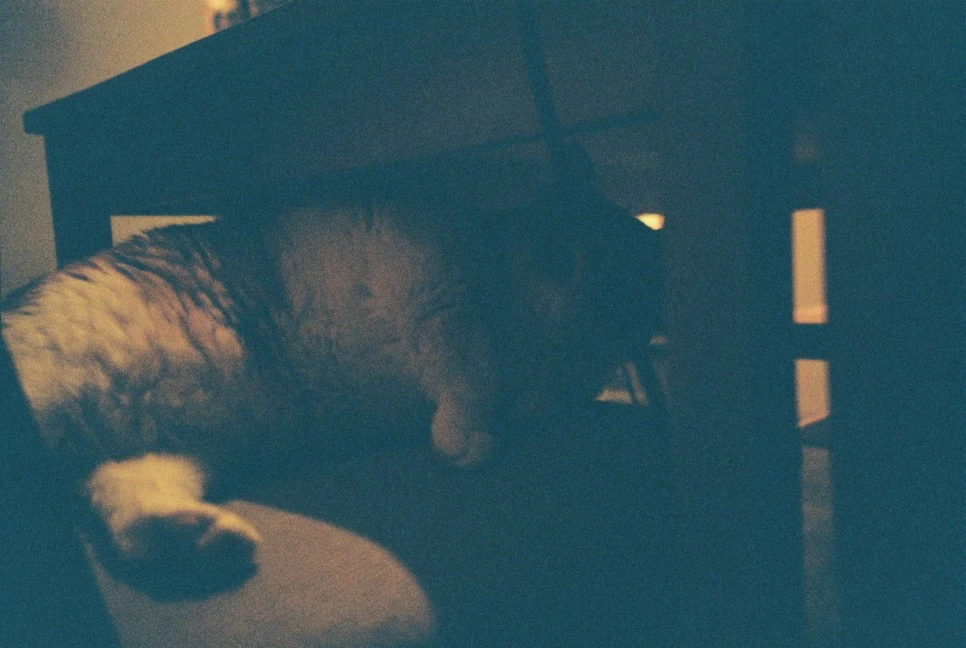 KakaoTalk_20161208_183545201.jpg?type=w966