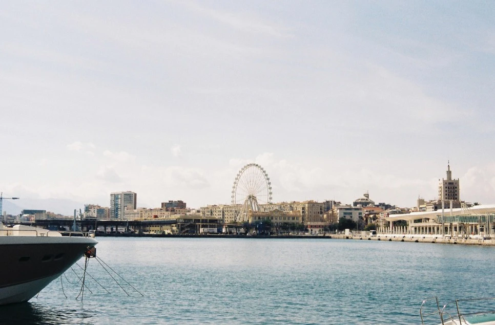 002_29458591584_o.jpg?type=w966