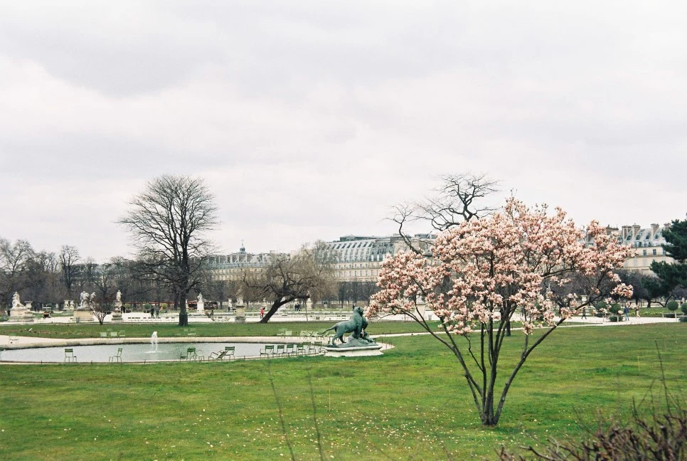 000027_28744078121_o.jpg?type=w966