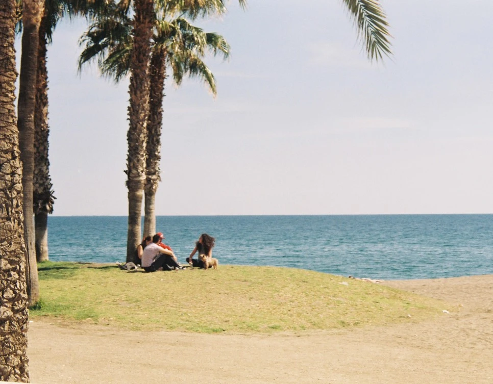 008_29458565734_o.jpg?type=w966