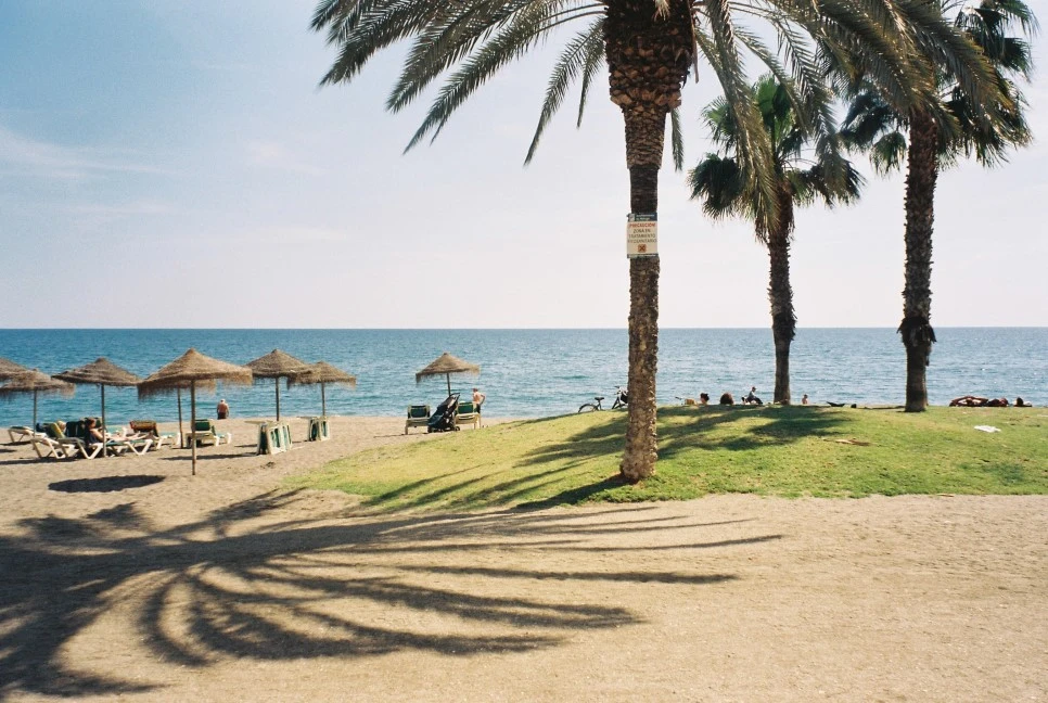 010_29458555564_o.jpg?type=w966