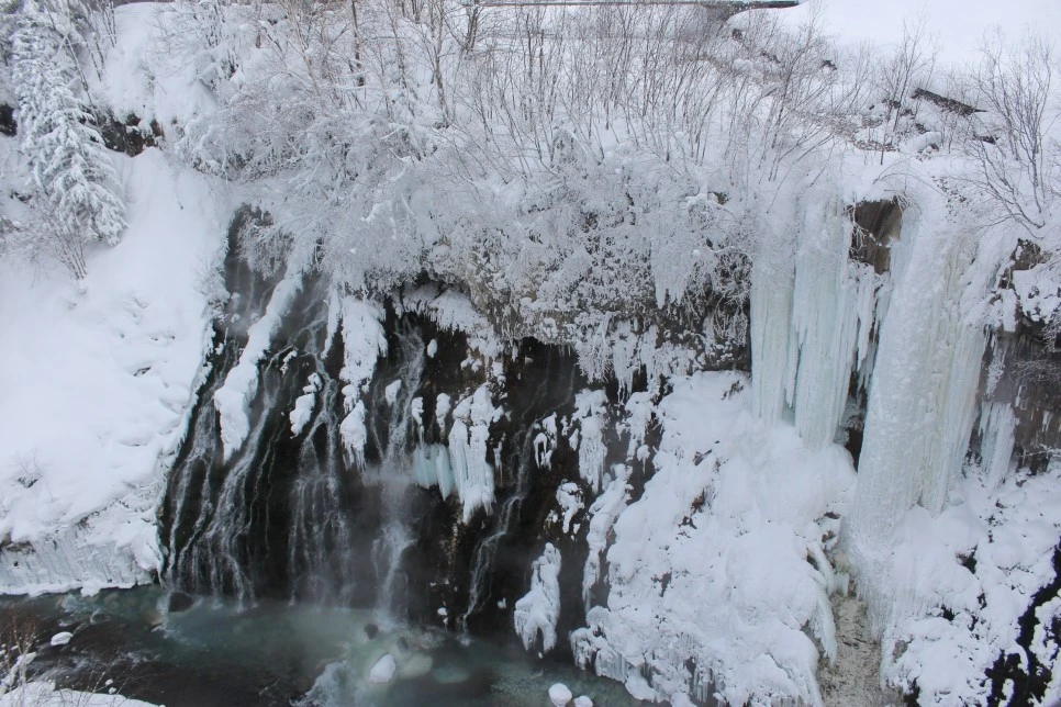 IMG_0802.JPG?type=w966