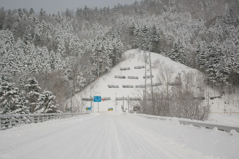 IMG_0630.JPG?type=w966