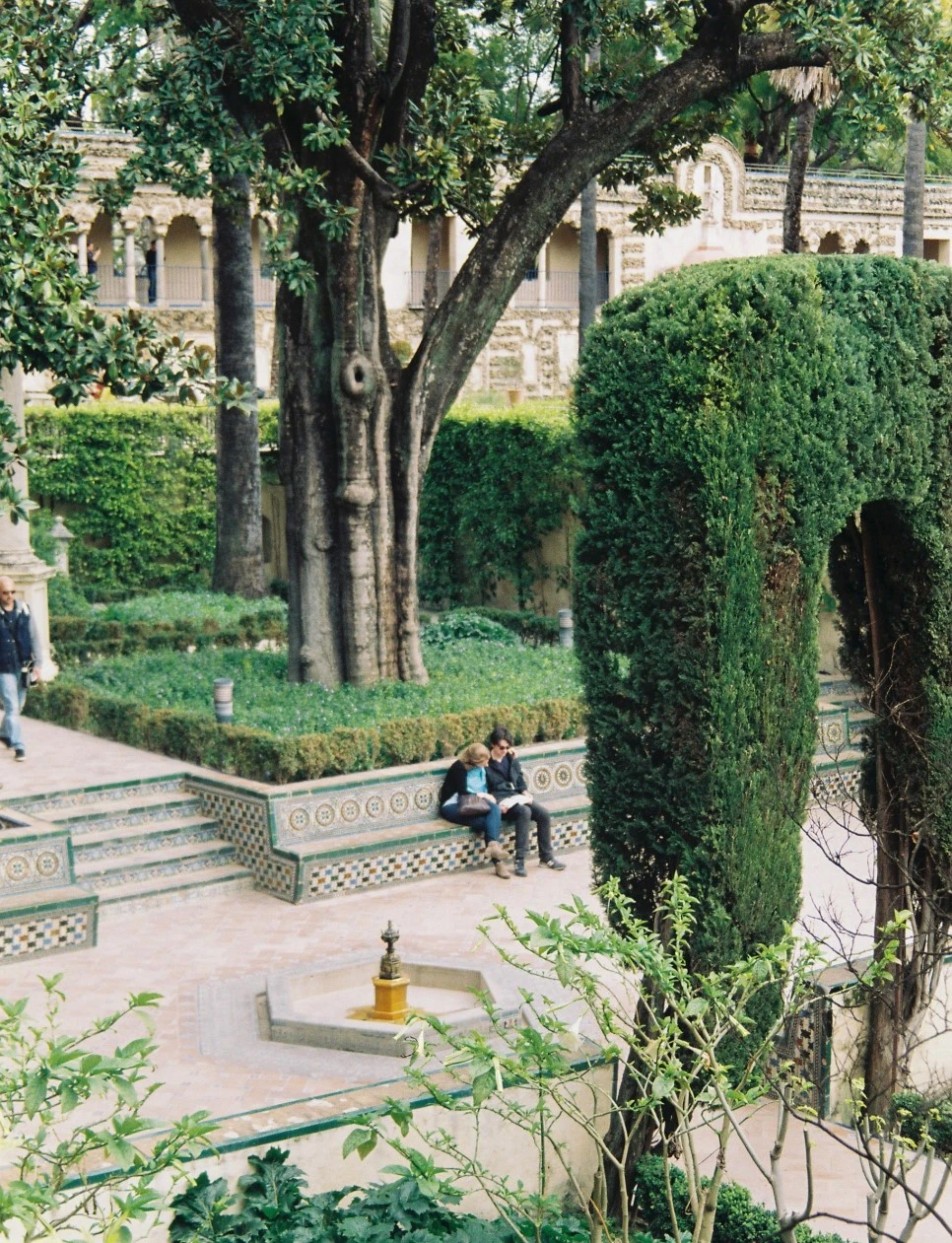 000021_30231440561_o.jpg?type=w966