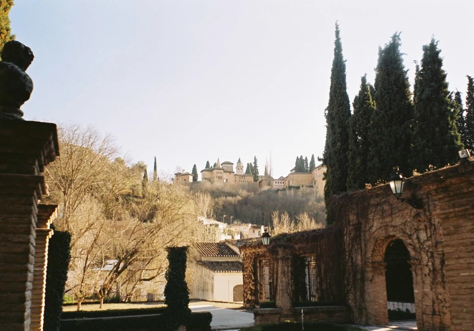 000020_30464540682_o.jpg?type=w966