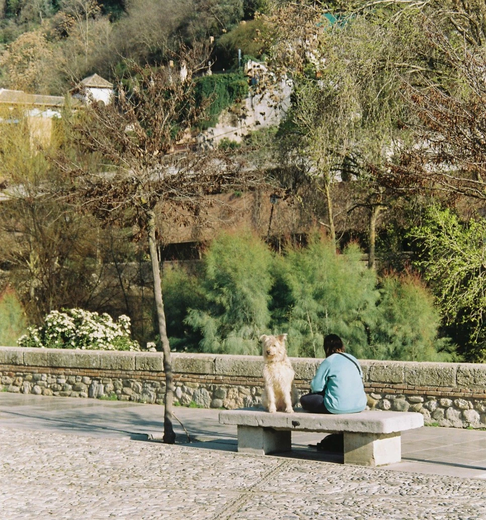 000024_30464538642_o.jpg?type=w966