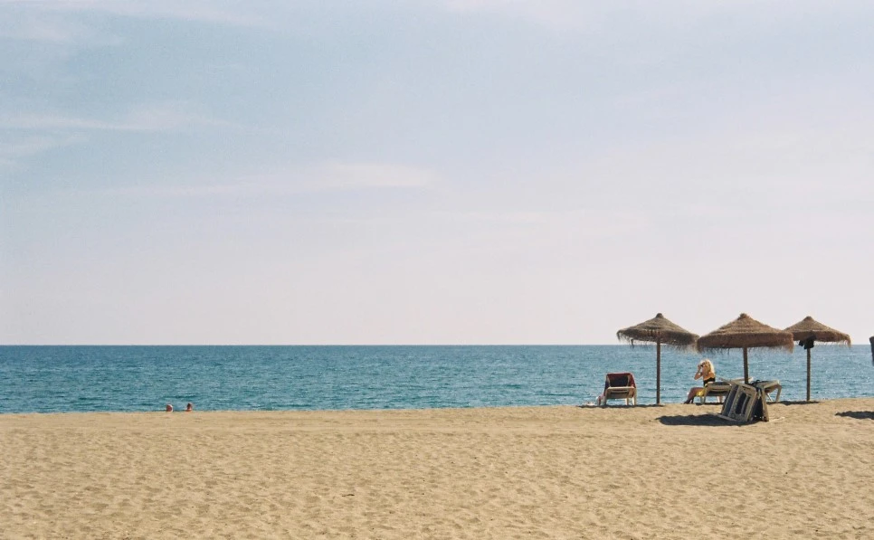 022_29972134382_o.jpg?type=w966