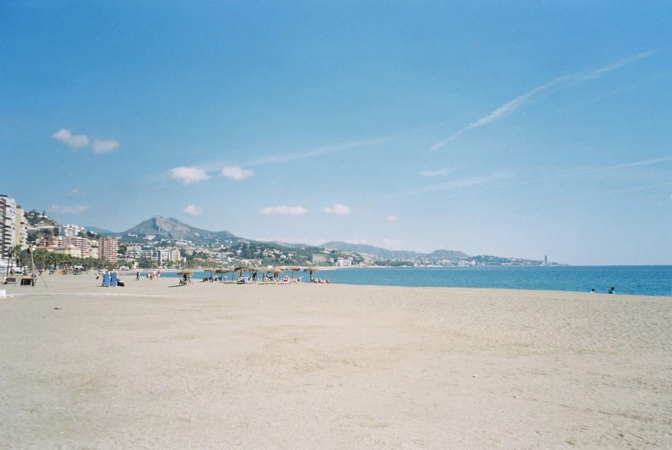 000013_29458532934_o.jpg?type=w966