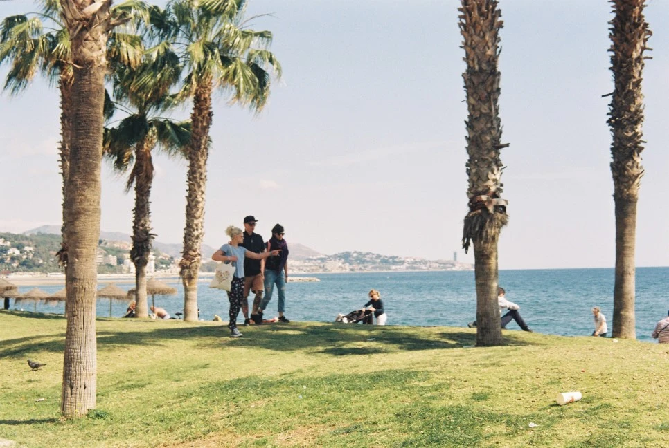 015_29791737440_o.jpg?type=w966