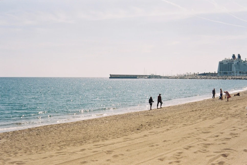 021_29458486794_o.jpg?type=w966